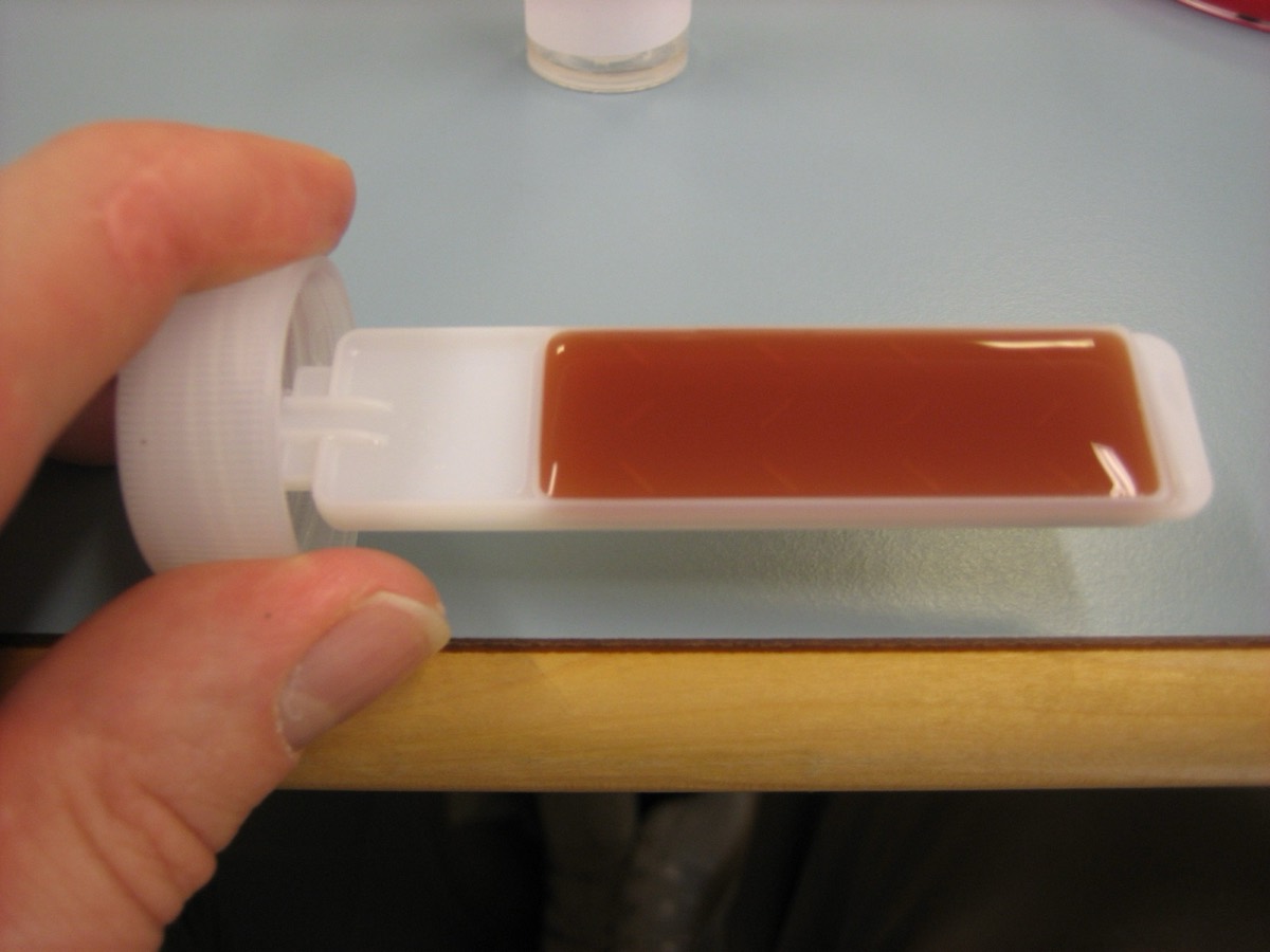 MacConkey con colonias rosas de Escherichia coli
