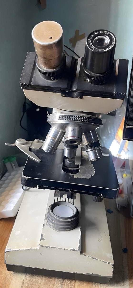 Microscopio óptico binocular