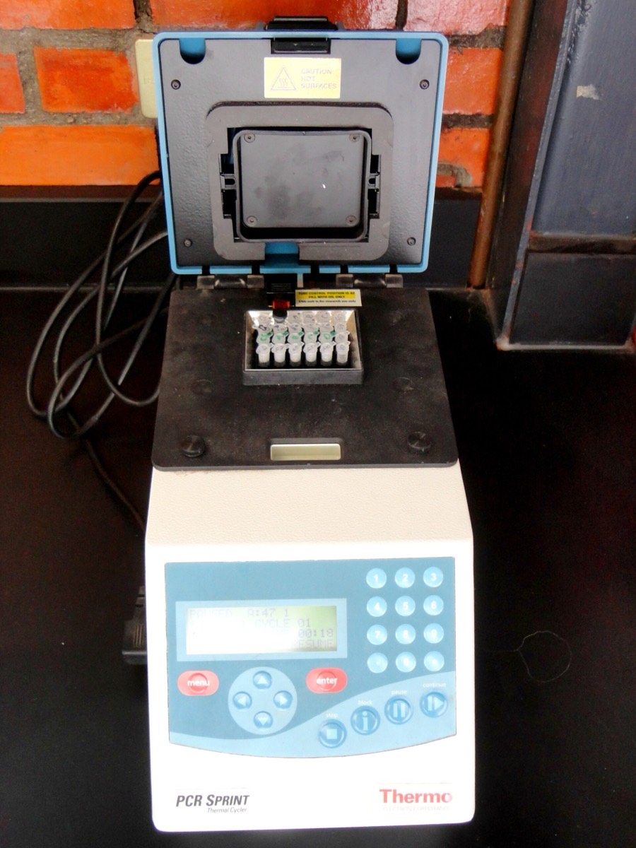 Termociclador para PCR